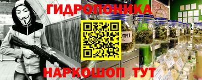 a pvp Кунгур