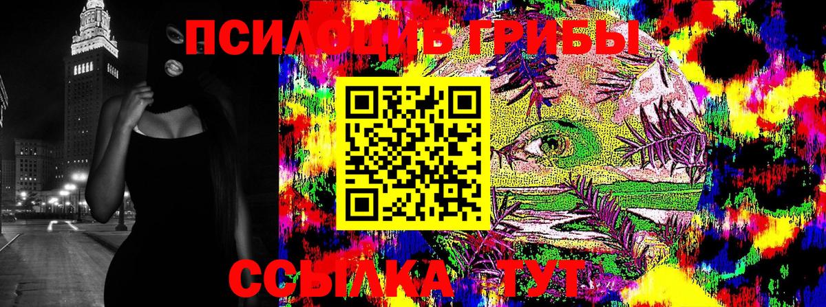 Псилоцибиновые грибы Psilocybine cubensis Чебоксары