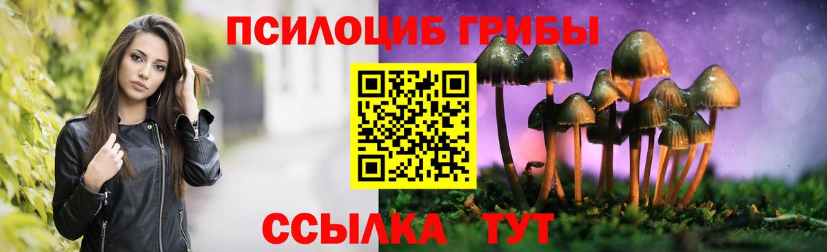 Галлюциногенные грибы MAGIC MUSHROOMS  Псилоцибиновые грибы MAGIC MUSHROOMS  Чебоксары  Вход с VPN 